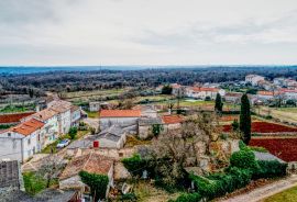 ISTRA, Manjadvorci - imanje sa idejnim projektom za investiciju, Barban, House