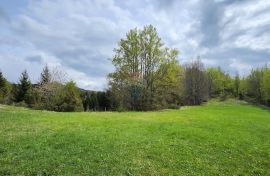 Gorski Kotar, Stari Laz - građevinski teren na brežuljku sa otvorenim pogledom 2825 m2, Ravna Gora, Zemljište