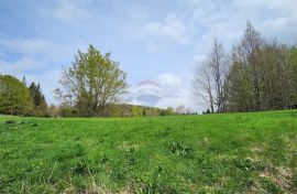 Gorski Kotar, Stari Laz - građevinski teren na brežuljku sa otvorenim pogledom 2825 m2, Ravna Gora, Γη