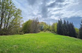 Gorski Kotar, Stari Laz - građevinski teren na brežuljku sa otvorenim pogledom 2825 m2, Ravna Gora, Tierra