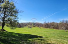 Gorski Kotar, Lepenice - veliki građevinski teren 11570 m2, Lokve, Terreno