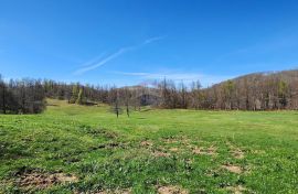 Gorski Kotar, Lepenice - veliki građevinski teren 11570 m2, Lokve, أرض