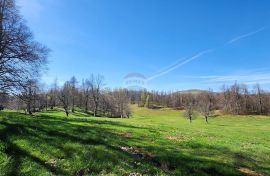 Gorski Kotar, Lepenice - veliki građevinski teren 11570 m2, Lokve, Tierra