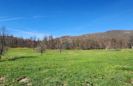 Gorski Kotar, Lepenice - veliki građevinski teren 11570 m2, Lokve, Zemljište