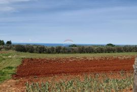 Istra, Kaštelir građevinska parcela sa pogledom na more 796m2, Kaštelir-Labinci, Zemljište