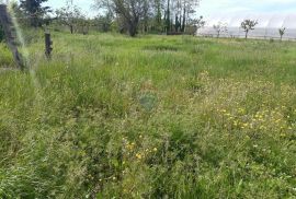 Istra, Kaštelir građevinska parcela sa pogledom na more 796m2, Kaštelir-Labinci, Terrain