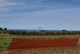 Istra, Kaštelir građevinska parcela sa pogledom na more 796m2, Kaštelir-Labinci, Land