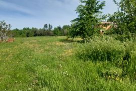 Istra, Kaštelir građevinska parcela sa pogledom na more 796m2, Kaštelir-Labinci, Land