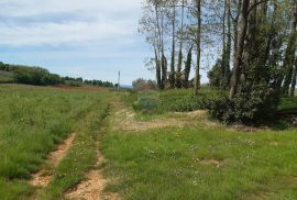 Istra, Kaštelir građevinska parcela sa pogledom na more 796m2, Kaštelir-Labinci, Land