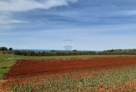 Istra, Kaštelir građevinska parcela sa pogledom na more 796m2, Kaštelir-Labinci, Terrain