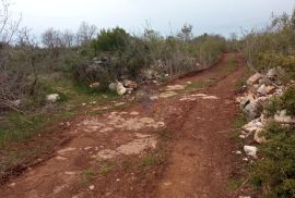 Istra, Vodnjan poljoprivredno zemljište 5463m2, Vodnjan, Tierra