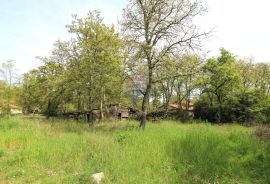 POREČ,okolica- građevinsko zemljište, Poreč, Land