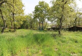 POREČ,okolica- građevinsko zemljište, Poreč, Land