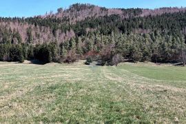 Gorski kotar, Sunger - građevinsko-poljoprivredno zemljište, 4500 m2, Mrkopalj, أرض