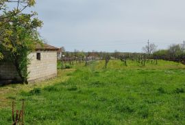 Istra, Žminj okolica - građevinsko zemljište 2055 m2, Žminj, Γη