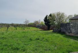 Istra, Žminj okolica - građevinsko zemljište 2055 m2, Žminj, Land