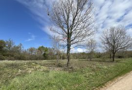 Istra, Sveti Lovreč, građevinsko zemljište 615 m2, Sveti Lovreč, Land