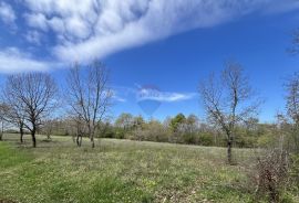 Istra, Sveti Lovreč, građevinsko zemljište 615 m2, Sveti Lovreč, Land