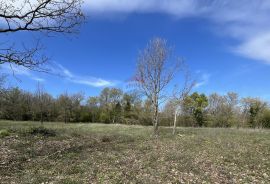 Istra, Sveti Lovreč, građevinsko zemljište 615 m2, Sveti Lovreč, Land