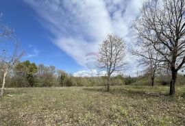 Istra, Sveti Lovreč, građevinsko zemljište 615 m2, Sveti Lovreč, Land