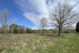 Istra, Sveti Lovreč, građevinsko zemljište 615 m2, Sveti Lovreč, Land