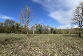 Istra-Sveti Lovreč, građevinsko zemljište 602 m2, Sveti Lovreč, Terrain