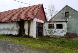 Karlovačka županija,Plaški - Kuća sa dvije dvorišne zgrade i građevinskim zemljištem, Plaški, Haus