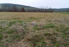 Karlovačka županija,Plaški - Kuća sa dvije dvorišne zgrade i građevinskim zemljištem, Plaški, Maison