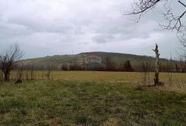 Karlovačka županija,Plaški - Kuća sa dvije dvorišne zgrade i građevinskim zemljištem, Plaški, Maison