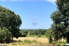 Istra, Novigrad, okolica, građevinsko zemljište sa pogledom na more, Brtonigla, Land