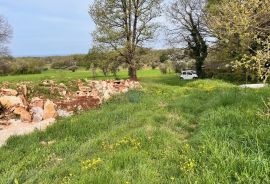 Istra, Novigrad, okolica, građevinsko zemljište sa pogledom na more, Brtonigla, Terreno