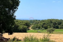 Istra, Novigrad, okolica, građevinsko zemljište sa pogledom na more, Brtonigla, Tierra