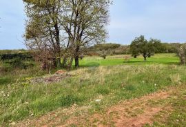 Istra, Novigrad, okolica, građevinsko zemljište sa pogledom na more, Brtonigla, Terrain