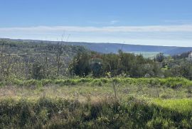 Istra, Krasica -Građevinsko zemljište s pogledom na more, Buje, Terra