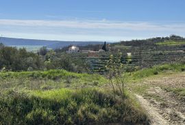 Istra, Krasica -Građevinsko zemljište s pogledom na more, Buje, Terreno