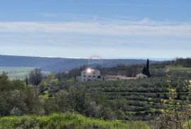 Istra, Krasica -Građevinsko zemljište s pogledom na more, Buje, Terreno