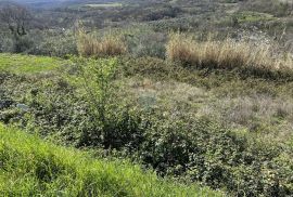 Istra, Krasica - Građevinsko zemljište s pogledom na more i pravomoćnom građevinskom dozvolom, Buje, Terreno