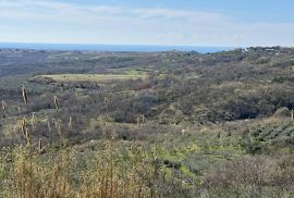 Istra, Krasica - Građevinsko zemljište s pogledom na more i pravomoćnom građevinskom dozvolom, Buje, Zemljište