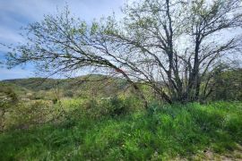 Istra, Podberam - građevinski teren, cjena nije fiksna, Pazin - Okolica, Zemljište