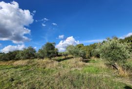 Istra, Dobrovice - poljoprivredno zemljište,  cjena nje fiksna, Buzet, Zemljište