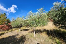 Istra, Dobrovice - poljoprivredno zemljište,  cjena nje fiksna, Buzet, Zemljište