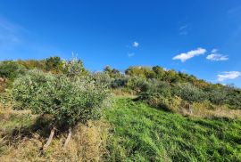 Istra, Dobrovice - poljoprivredno zemljište,  cjena nje fiksna, Buzet, Zemljište