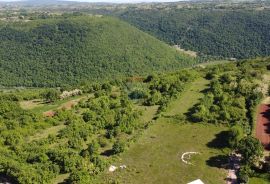 ISTRA, PIĆAN - Gr. zemljište 2000m2 + Polj. 4000m2, započeta gradnja, Pićan, Земля