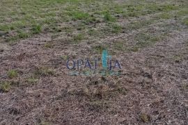 Privlaka, 952 m²  zemljište - održavano, blizina mora, Privlaka, Terrain