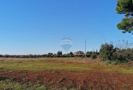 KAŠTELIR-građevinsko zemljište s pogledom na more, Kaštelir-Labinci, Land