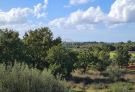 Poreč okolica: Moderna dvojna kuća, 4,5 km od Poreča, Poreč, Famiglia