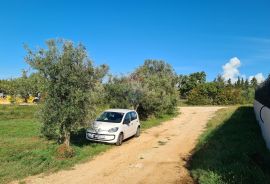 Poreč okolica: Nova moderna dvojna kuća, pogled more, Poreč, Casa