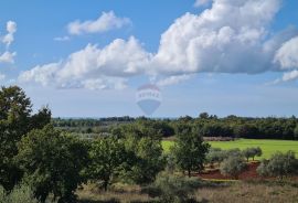 Poreč okolica: Nova moderna dvojna kuća, pogled more, Poreč, Ev