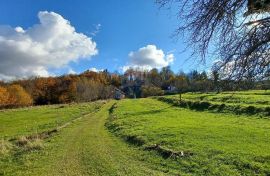 Gorski Kotar, Plemenitaš - samostojeća kuća na prostranoj okućnici 5522 m2, Vrbovsko, Maison