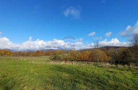 Gorski Kotar, Plemenitaš - samostojeća kuća na prostranoj okućnici 5522 m2, Vrbovsko, Ev